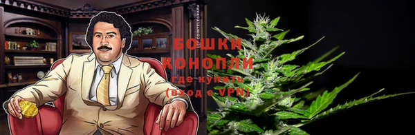 спайс Горняк